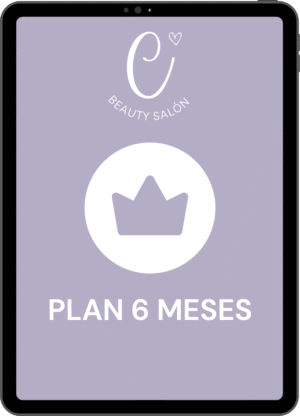 Plan 6 Meses