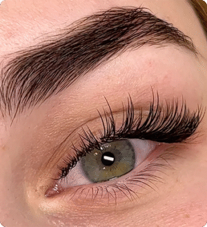 Efecto Gato / Extensiones